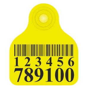 Ear Tags - Sheep